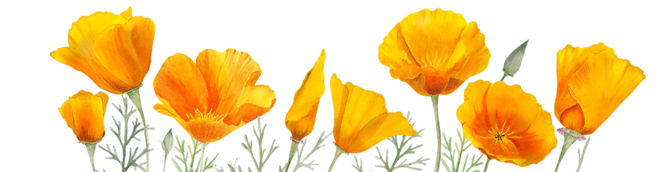 some image